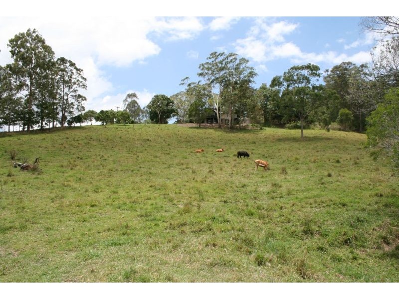 431 Top Forestry Road, Cooroy QLD 4563