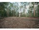 Lot 7 Figbird Court, Cooroy QLD 4563