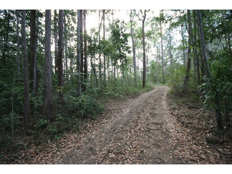 Lot 7 Figbird Court, Cooroy QLD 4563