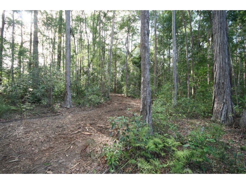 Lot 7 Figbird Court, Cooroy QLD 4563