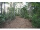 Lot 7 Figbird Court, Cooroy QLD 4563