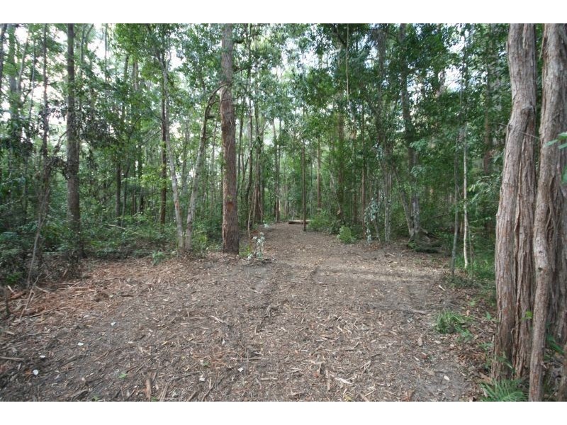 Lot 7 Figbird Court, Cooroy QLD 4563