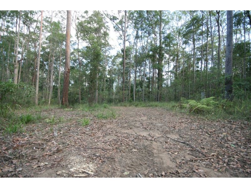 Lot 7 Figbird Court, Cooroy QLD 4563