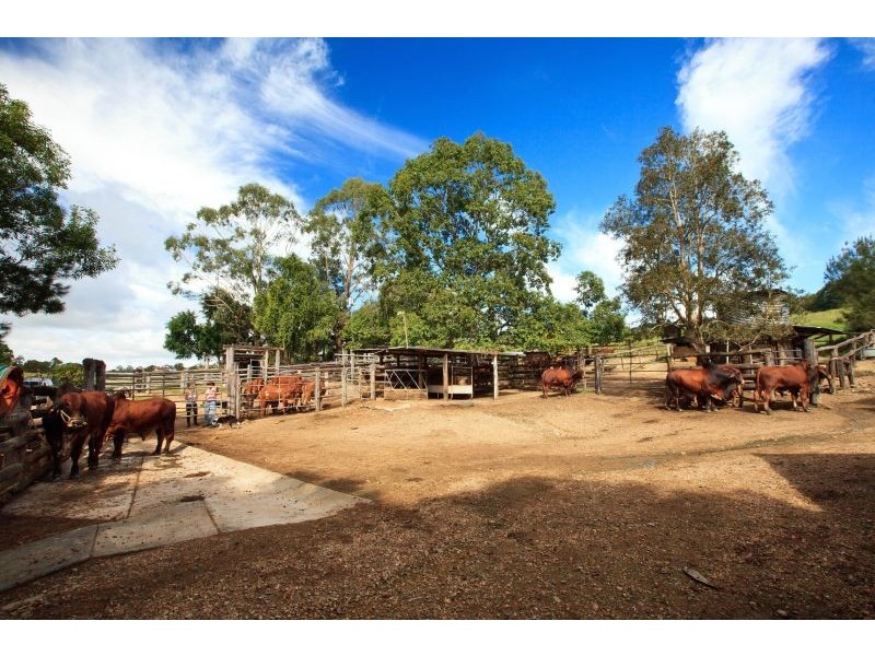 55 Happy Jack Creek Road, Ridgewood QLD 4563