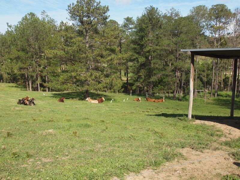 45 Happy Jack Creek Road, Ridgewood QLD 4563