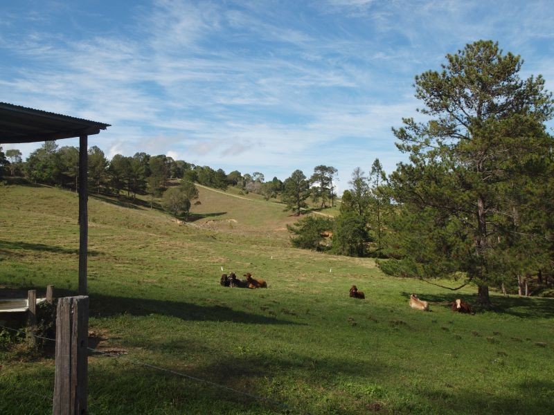 45 Happy Jack Creek Road, Ridgewood QLD 4563