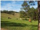 45 Happy Jack Creek Road, Ridgewood QLD 4563
