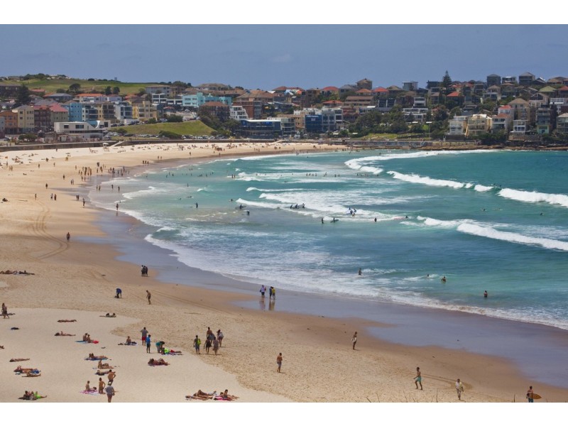 39 Watson Street, Bondi NSW 2026