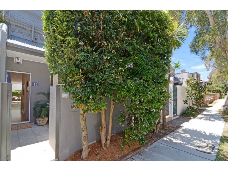 16 Brae Street, Bronte NSW 2024