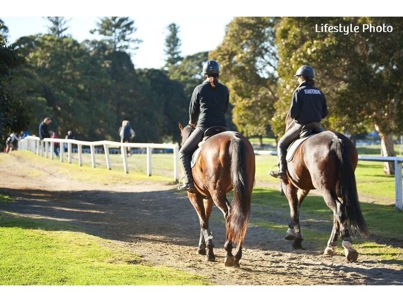 88 Anzac Parade, Kensington NSW 2033