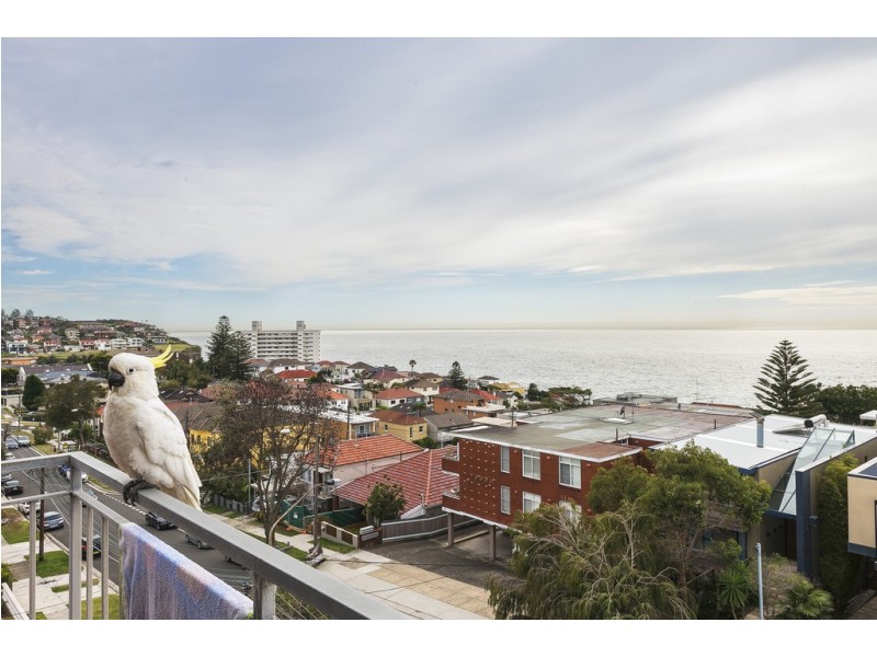 286 Military Road, Dover Heights NSW 2030