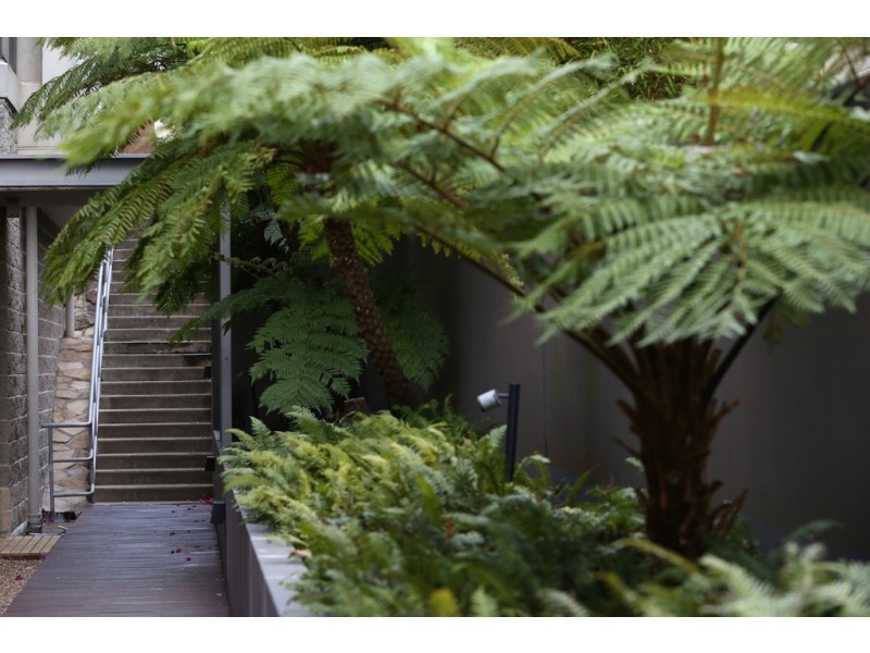 207B/106 Brook Street, Coogee NSW 2034