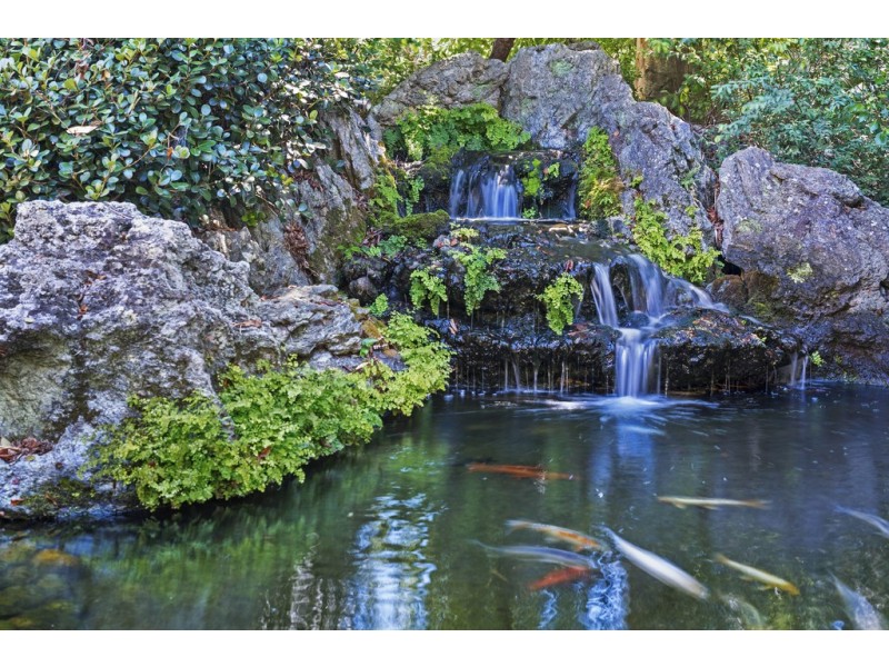 16/51 William Street, Double Bay NSW 2028