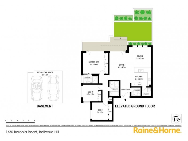 1/30 Boronia Road, Bellevue Hill NSW 2023 Floorplan