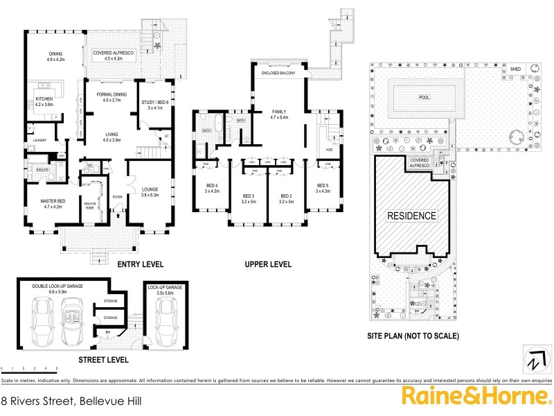 8 Rivers Street, Bellevue Hill NSW 2023 Floorplan