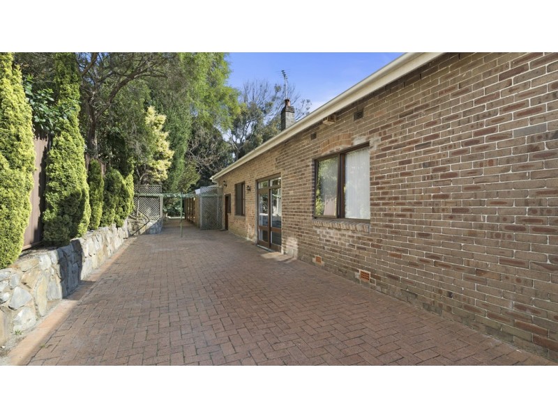 91 Watson Street, Bondi NSW 2026