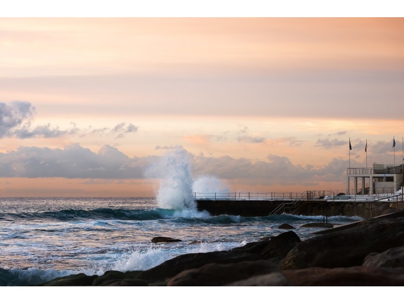 22/14 Wilga Street, Bondi NSW 2026