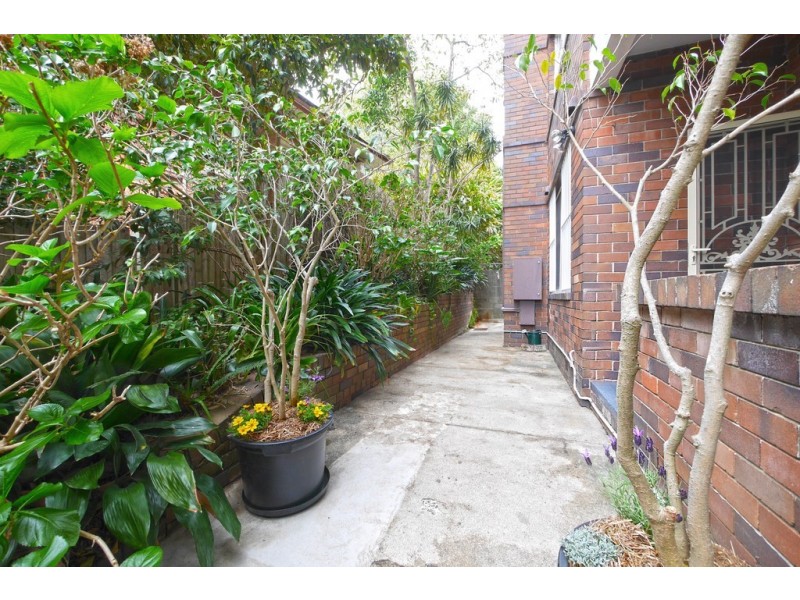 3/129 Victoria Road, Bellevue Hill NSW 2023