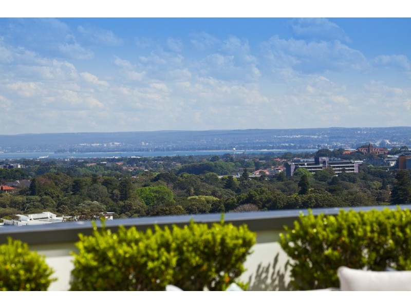 409/80 Ebley Street, Bondi Junction NSW 2022