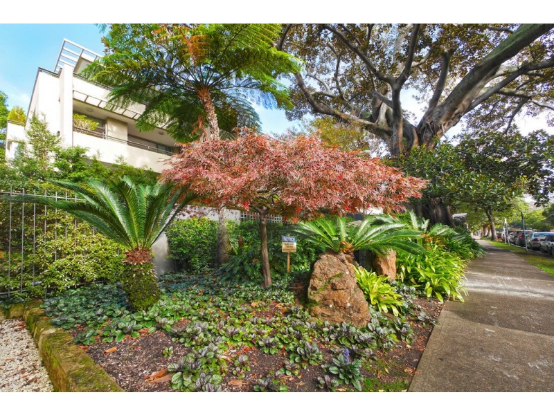 26/51 William Street, Double Bay NSW 2028