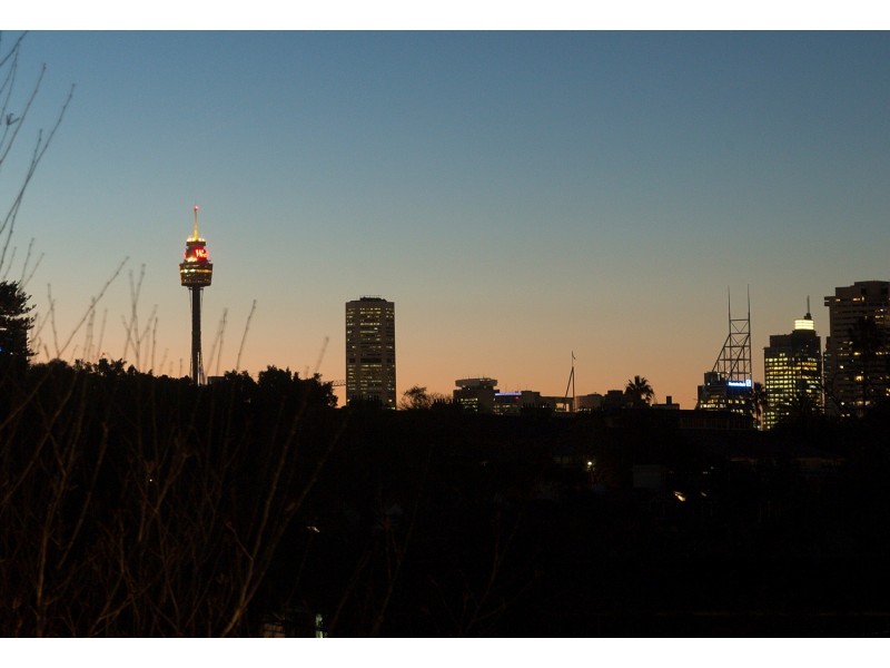 67 Regent Street, Paddington NSW 2021