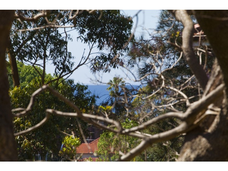 2/115 Carrington Road, Coogee NSW 2034