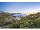17 Gilliver Avenue, Vaucluse NSW 2030