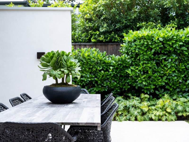 17 Beresford Road, Rose Bay NSW 2029