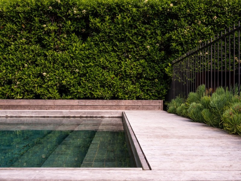 17 Beresford Road, Rose Bay NSW 2029