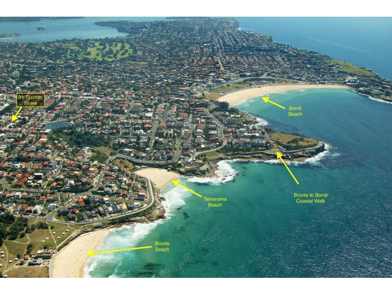 31 Tasman Street, Bondi NSW 2026