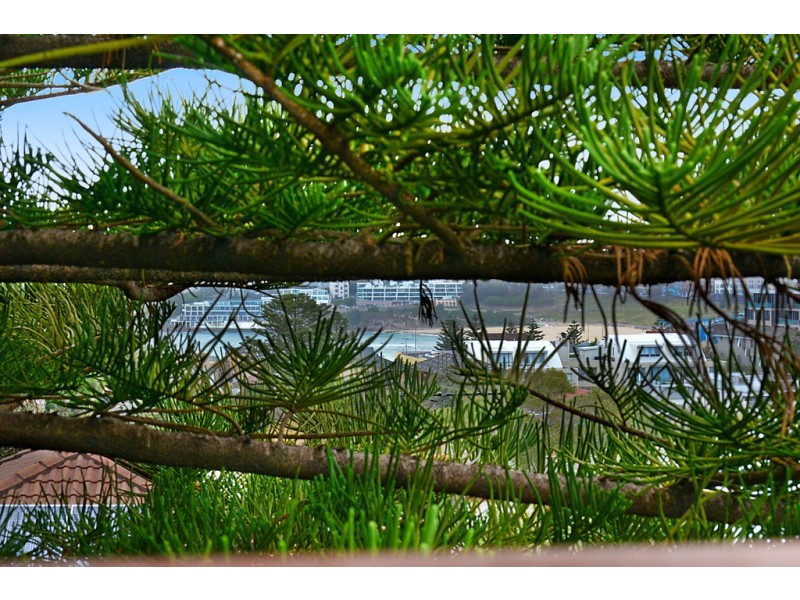 3/6 Military Road, North Bondi NSW 2026