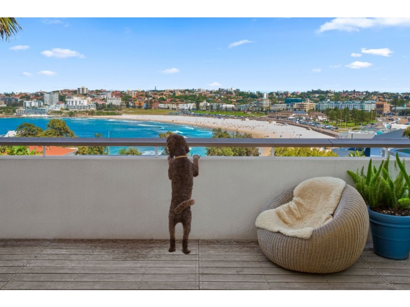 124 Brighton Boulevard, North Bondi NSW 2026