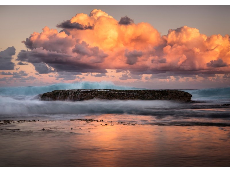 330 Birrell Street, Bondi NSW 2026