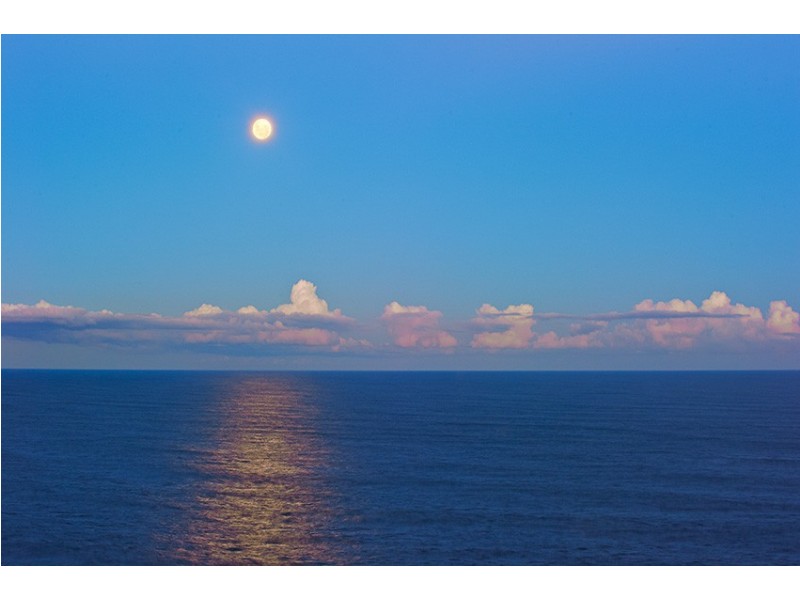 8 Lola Road, Dover Heights NSW 2030