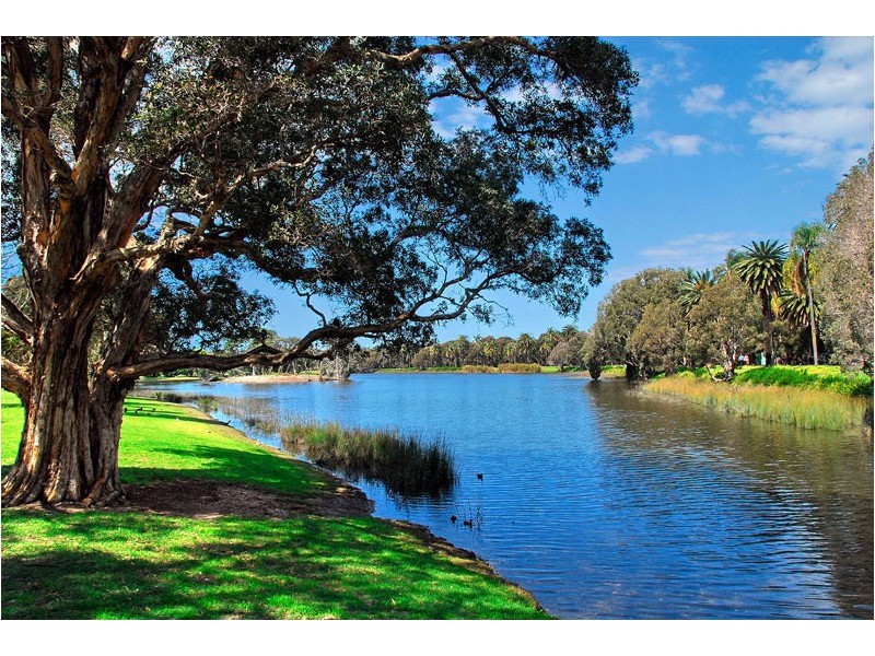 1/15 Furber Road, Centennial Park NSW 2021