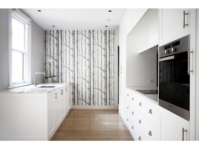 10 Glenview Street, Paddington NSW 2021