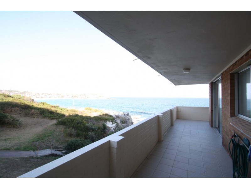 2/16 Wilga Street, Bondi NSW 2026