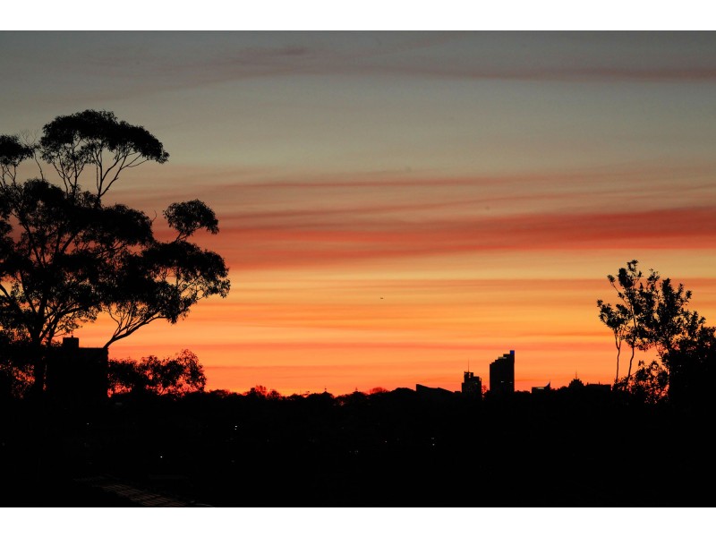 4/20 Streatfield Road, Bellevue Hill NSW 2023