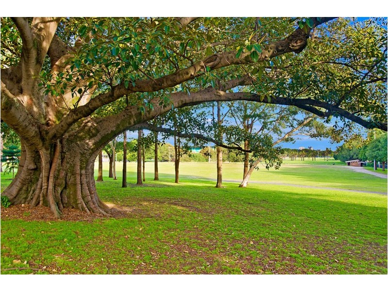 4 Iris Street, Paddington NSW 2021