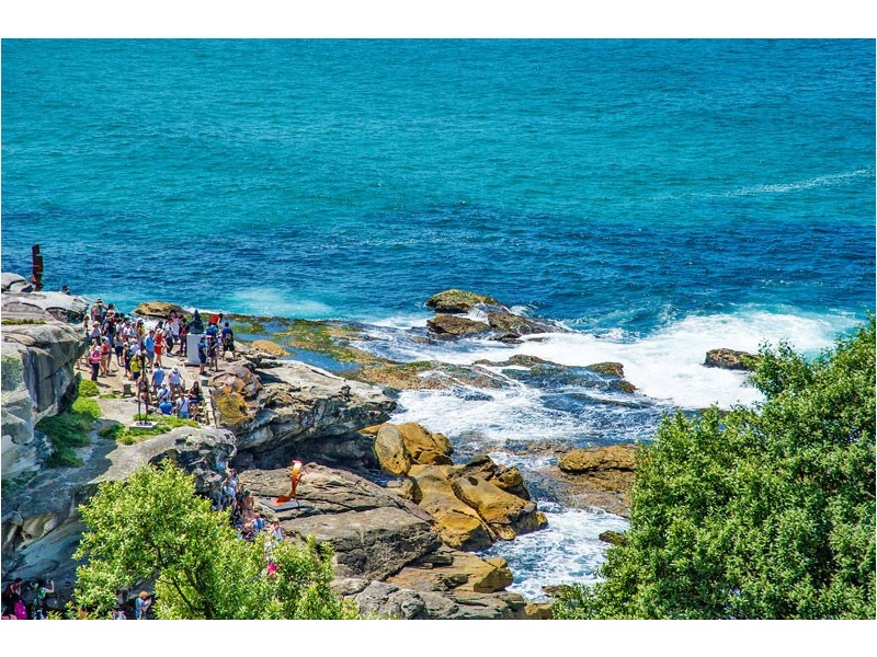 4/17 Wilga Street, Bondi NSW 2026