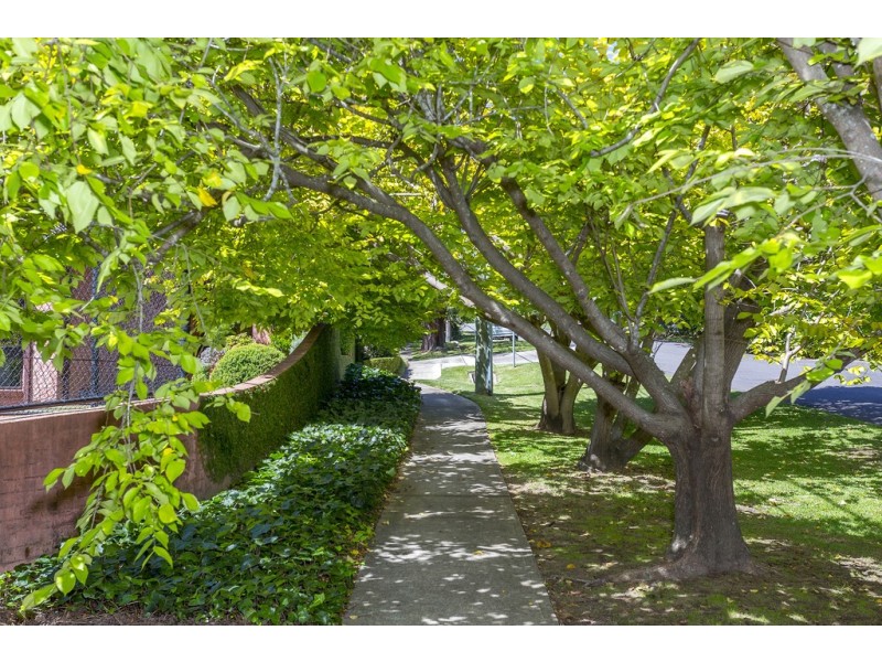 51 Rosebery Road, Killara NSW 2071