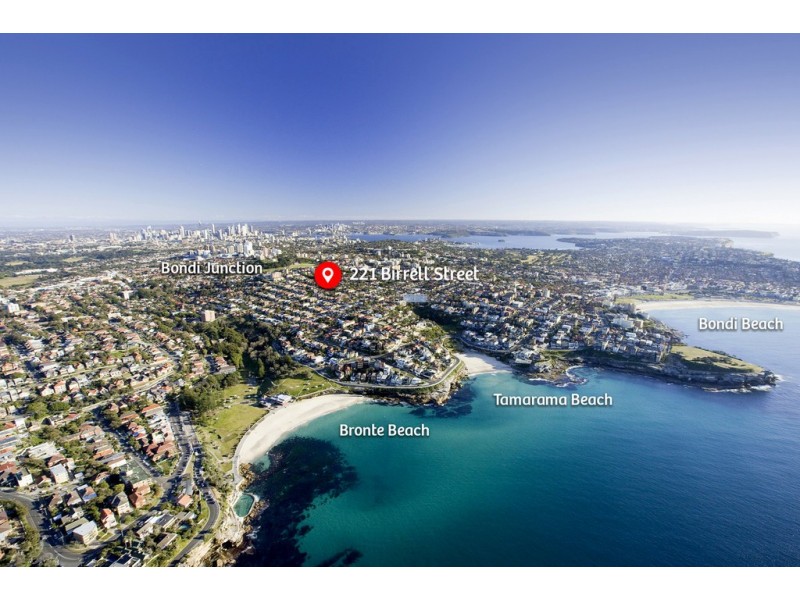221 Birrell Street, Bronte NSW 2024