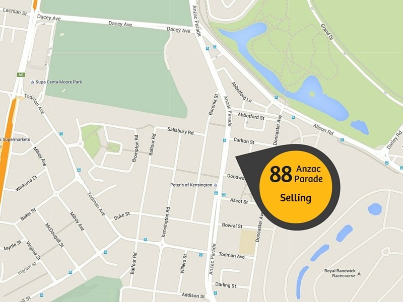 Level 8/88 Anzac Parade, Kensington NSW 2033