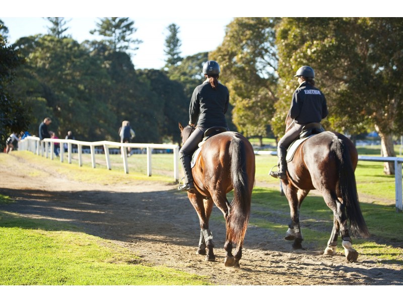 21/8-12 Ascot Street, Kensington NSW 2033