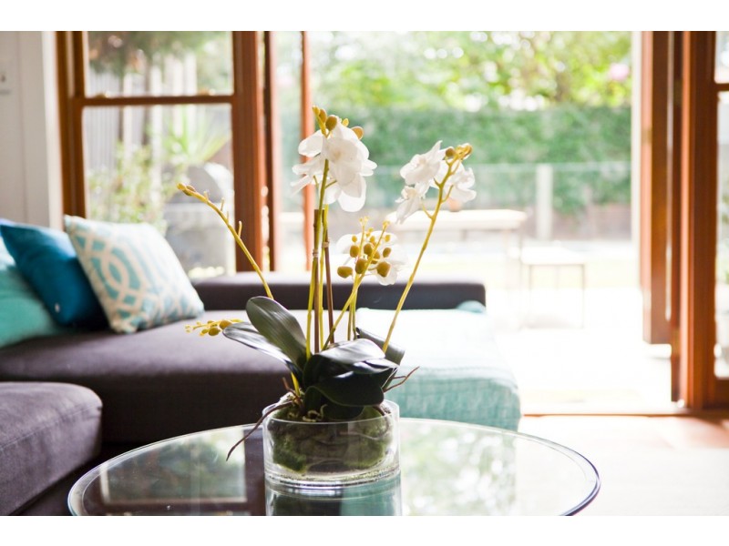 4 Vale Street, Clovelly NSW 2031