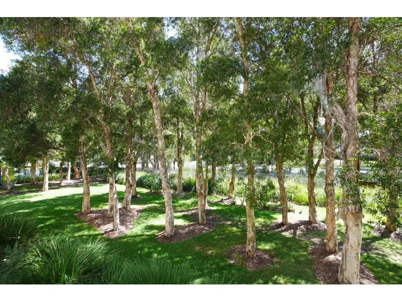 63/30 Gadigal Avenue, Zetland NSW 2017