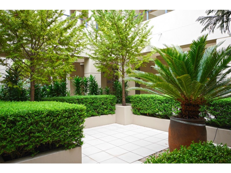 106/45-53 Carlisle Street, Rose Bay NSW 2029