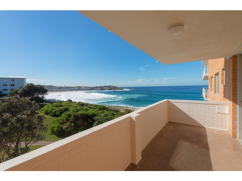 8/16 Wilga Street, Bondi Beach NSW 2026