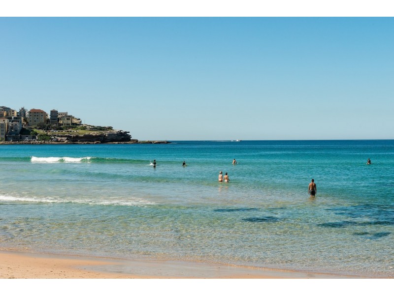 10 Vicars Avenue, North Bondi NSW 2026