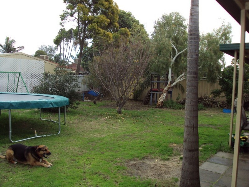 209 Newburn Road, High Wycombe WA 6057